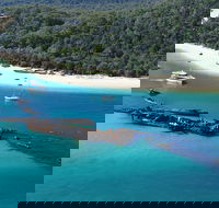 All Inclusive Tangalooma Wrecks Cruise Tour From Gold Coast - Darwin Tourism