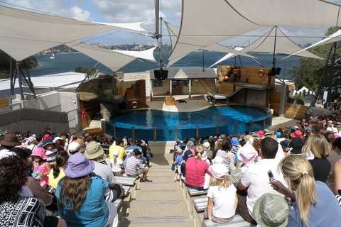 Sydney Taronga Zoo General Entry Ticket - Darwin Tourism 5