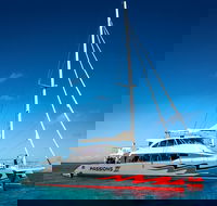 Passions of Paradise Great Barrier Reef Snorkel and Dive Cruise from Cairns by Luxury Catamaran - Darwin Tourism