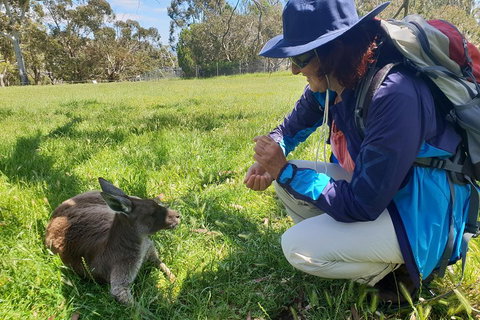 Mount Lofty Hike And Cleland Wildlife Park Day Trip From Adelaide - Darwin Tourism 1