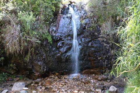 Mount Lofty Hike And Cleland Wildlife Park Day Trip From Adelaide - Darwin Tourism 4