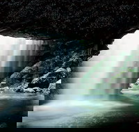 Natural Bridge Glow Worm Night Tour from Gold Coast - Darwin Tourism