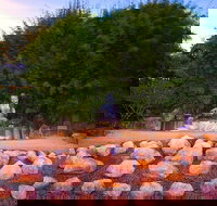 Byron Bay and the Crystal Castle Day Tour from Gold Coast - Darwin Tourism