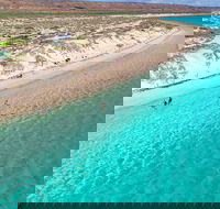 Ningaloo in a Day - Full Day Hike and Snorkel Tour with Lunch - Darwin Tourism