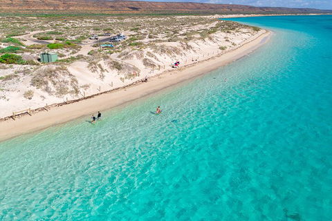 Ningaloo In A Day - Full Day Hike And Snorkel Tour With Lunch - Darwin Tourism 0