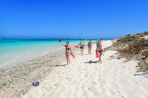 Ningaloo In A Day - Full Day Hike And Snorkel Tour With Lunch - Darwin Tourism 1
