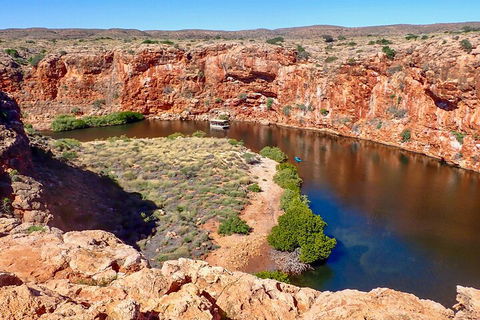 Ningaloo In A Day - Full Day Hike And Snorkel Tour With Lunch - Darwin Tourism 2