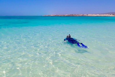 Ningaloo In A Day - Full Day Hike And Snorkel Tour With Lunch - Darwin Tourism 4