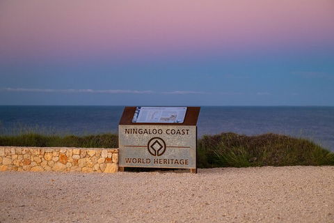 Ningaloo In A Day - Full Day Hike And Snorkel Tour With Lunch - Darwin Tourism 5
