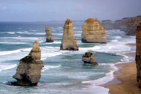 LGBT+ Friendly 2 Day Private Tour Great Ocean Road + Phillip Island - Darwin Tourism 0