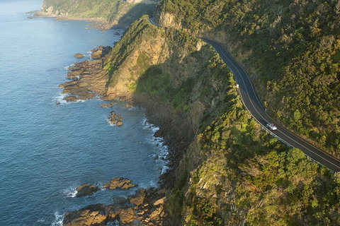 LGBT+ Friendly 2 Day Private Tour Great Ocean Road + Phillip Island - Darwin Tourism 4