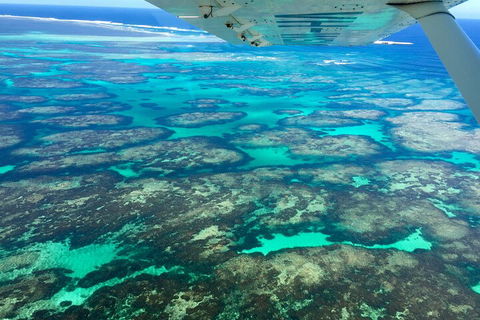 Shipwreck Special Full Day Tour Of The Abrolhos Islands - Darwin Tourism 1