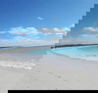 Shipwreck Special Nature Tour/Half Day Tour - Darwin Tourism