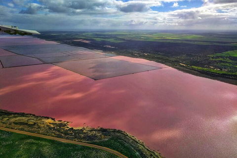 Kalbarri, Pink Lake And Abrolhos Islands Nature Tour - Darwin Tourism 1