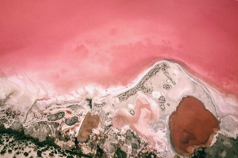 Kalbarri, Pink Lake And Abrolhos Islands Nature Tour - Darwin Tourism 2