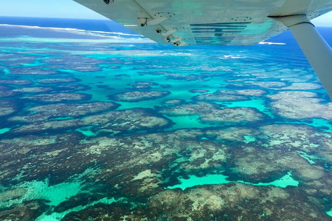 Kalbarri, Pink Lake And Abrolhos Islands Nature Tour - Darwin Tourism 5