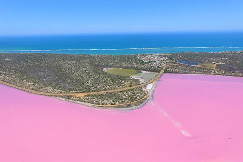 Pink Lake + Abrolhos Islands Nature Tour - Darwin Tourism 4