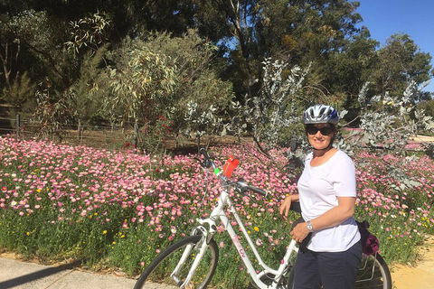 Perth Bike Tour - Beautiful Matilda Bay And Kings Park - Darwin Tourism 1