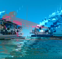 Best of Moreton Bay Cruise - Darwin Tourism