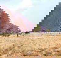 Uluru Sunrise and Guided Base Walk - Darwin Tourism
