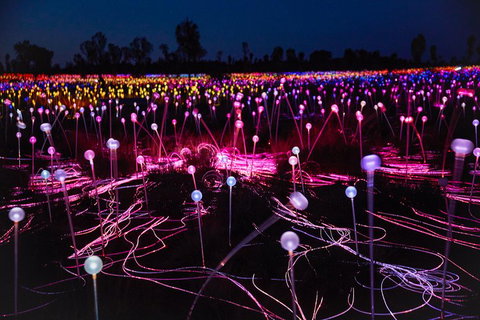 Uluru (Ayers Rock) Field Of Light Sunrise Tour - Darwin Tourism 1