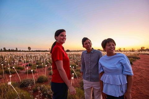 Uluru (Ayers Rock) Field Of Light Sunrise Tour - Darwin Tourism 2