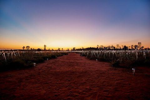 Uluru (Ayers Rock) Field Of Light Sunrise Tour - Darwin Tourism 3