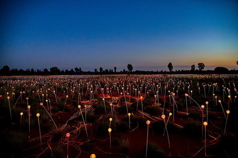 Uluru (Ayers Rock) Field Of Light Sunrise Tour - Darwin Tourism 4