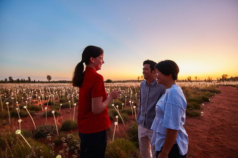 Uluru (Ayers Rock) Field Of Light Sunrise Tour - Darwin Tourism 5