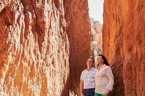 Best Of Alice Springs Full Day Tour - Darwin Tourism 4