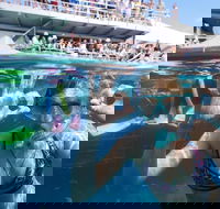Great Barrier Reef Day Cruise from Cairns Including Snorkeling and Marine Biologist Presentation - Darwin Tourism