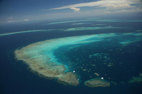 Great Barrier Reef Day Cruise From Cairns Including Snorkeling And Marine Biologist Presentation - Darwin Tourism 1