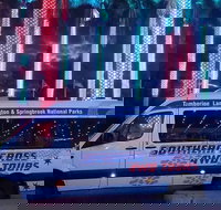 Evening Rainforest  Glow Worm Experience - Darwin Tourism