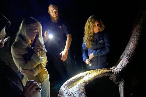Evening Rainforest & Glow Worm Experience - Darwin Tourism 2