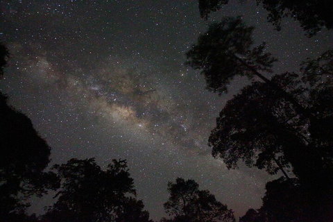 Evening Rainforest & Glow Worm Experience - Darwin Tourism 4