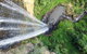 Natural Bridge & Springbrook Waterfalls Tour + Hot Air Balloon With Breakfast - thumb 1