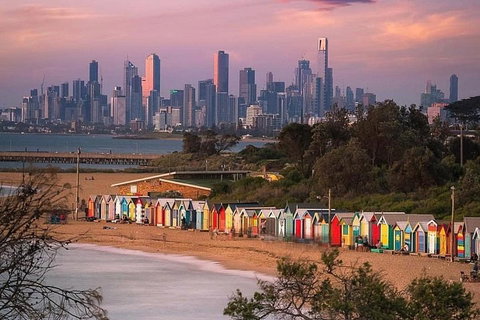 Small Group The Best Of Melbourne - Darwin Tourism 4