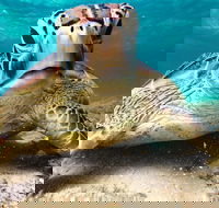Sail Snorkel SUP  Kayak Charter Whitsundays - Darwin Tourism