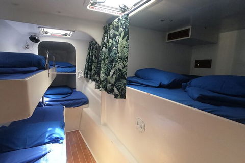 Sail, Snorkel, SUP & Kayak Charter Whitsundays - Darwin Tourism 4