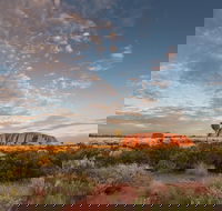 Uluru Kata Tjuta and Kings Canyon Camping Safari from Alice Springs - Darwin Tourism