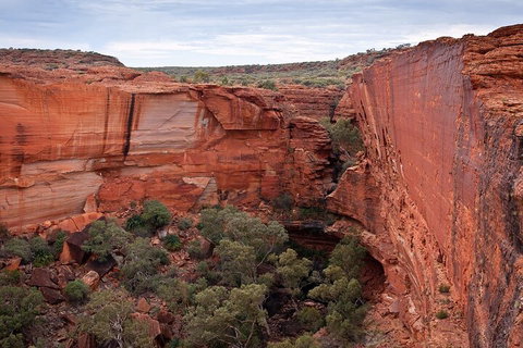 Uluru, Kata Tjuta And Kings Canyon Camping Safari From Ayers Rock - Darwin Tourism 1