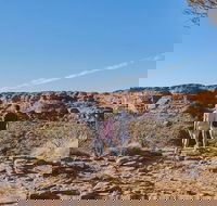 The Amazing Kings Canyon 4-Hours Walking Tour and Hike - Darwin Tourism