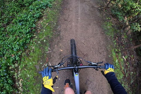 Explore Downhill Mountain In 3-Hour Bike Tour From Hobart - Darwin Tourism 2