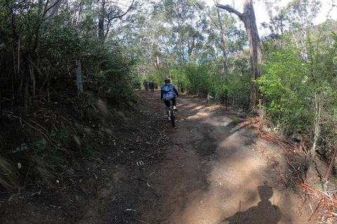 Explore Downhill Mountain In 3-Hour Bike Tour From Hobart - Darwin Tourism 3