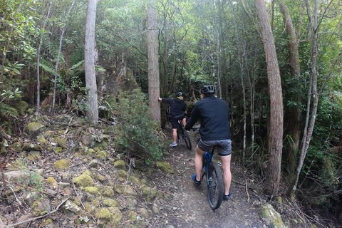 Explore Downhill Mountain In 3-Hour Bike Tour From Hobart - Darwin Tourism 4