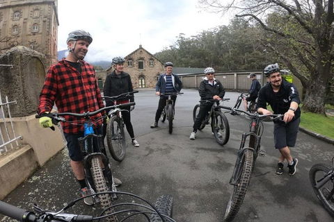 Explore Downhill Mountain In 3-Hour Bike Tour From Hobart - Darwin Tourism 5