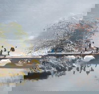 3.5 Hours Walking Tour to Cataract Gorge with Local Guide - Darwin Tourism