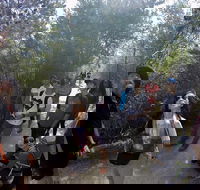 Active Day Tour One-Way from Launceston to Hobart via Wineglass Bay - Darwin Tourism