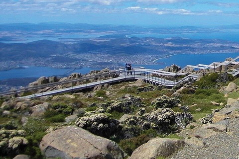 Mt Wellington Ultimate Experience Tour From Hobart - Darwin Tourism 1