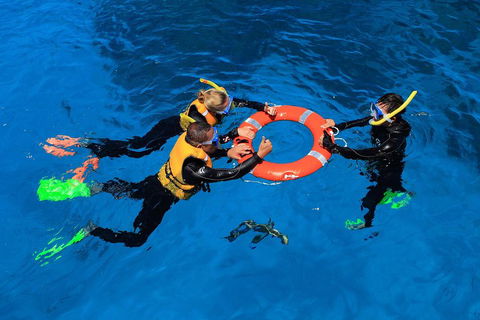 Great Barrier Reef Adventure From Cairns - Darwin Tourism 3